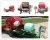 Import Silage Film Wraper Machine Round Hay Blaer for Livestock Feeding from China