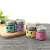 Import Small Stainless Steel Spice Container Salt And Pepper Shaker Glass Spice Jar from China