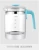 Import Smart health electric milk heater boiler pour over coffee pot arabic instant hot water kettle from China