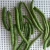 Import Snack Dried Green Bean VF Green Bean Crisps Vacuum Low Temperature Fried Vegetable with Good taste from China