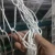 Import Source manufacturer  popular rainbow climbing nets climb the net net for construction from Hong Kong