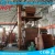 Import Steel/Rubber Conveyor Belt Abrator /rotary drum shotblasting machines from China