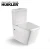 Import Strong flush ceramics bathroom toilet suite wc two piece CHEAP toilet with washdown system from China
