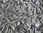 SUNFLOWER SEED KERNELS