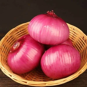 Supplier export bulk buyers price new specification vegetable fresh red scallion onion for sale