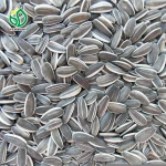 Supply sunflower seeds Raw Chinese wholesale sunflower seeds