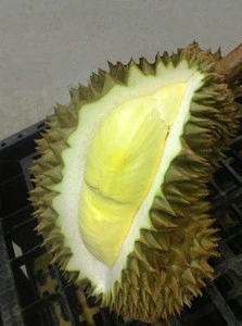 Thailand Premium Fresh Monthong King Durian For Sale
