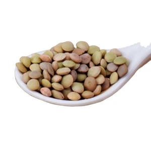 Top quality  crop 2020  price of Chinese lentils  Lentille
