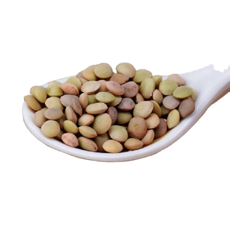 Top quality  crop 2020  price of Chinese lentils  Lentille