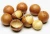 Import Top Quality Roasted Macadamia Nuts from China