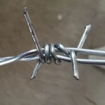 Traditional Twisted barbed wire 2 strand / Double Strand Barbed Wire coil/ Dingzhou galvanized barbed wire factory