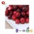 Import TTN China Product Organic Food Dried Fruit Sour Cherry Concentrate Cherry Tomato Fruit from China