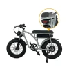 Unique features Chanson Electric Bike 48v 750w Lithium Battery Rear Hub Motor City E-bike