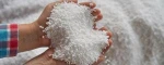 UREA Fertilizer Urea (46% N), Urea (coated) (45% N) Fertilizers