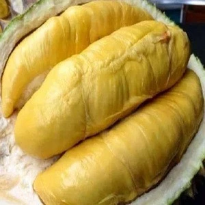 Vietnam high Quality fresh organic Durian