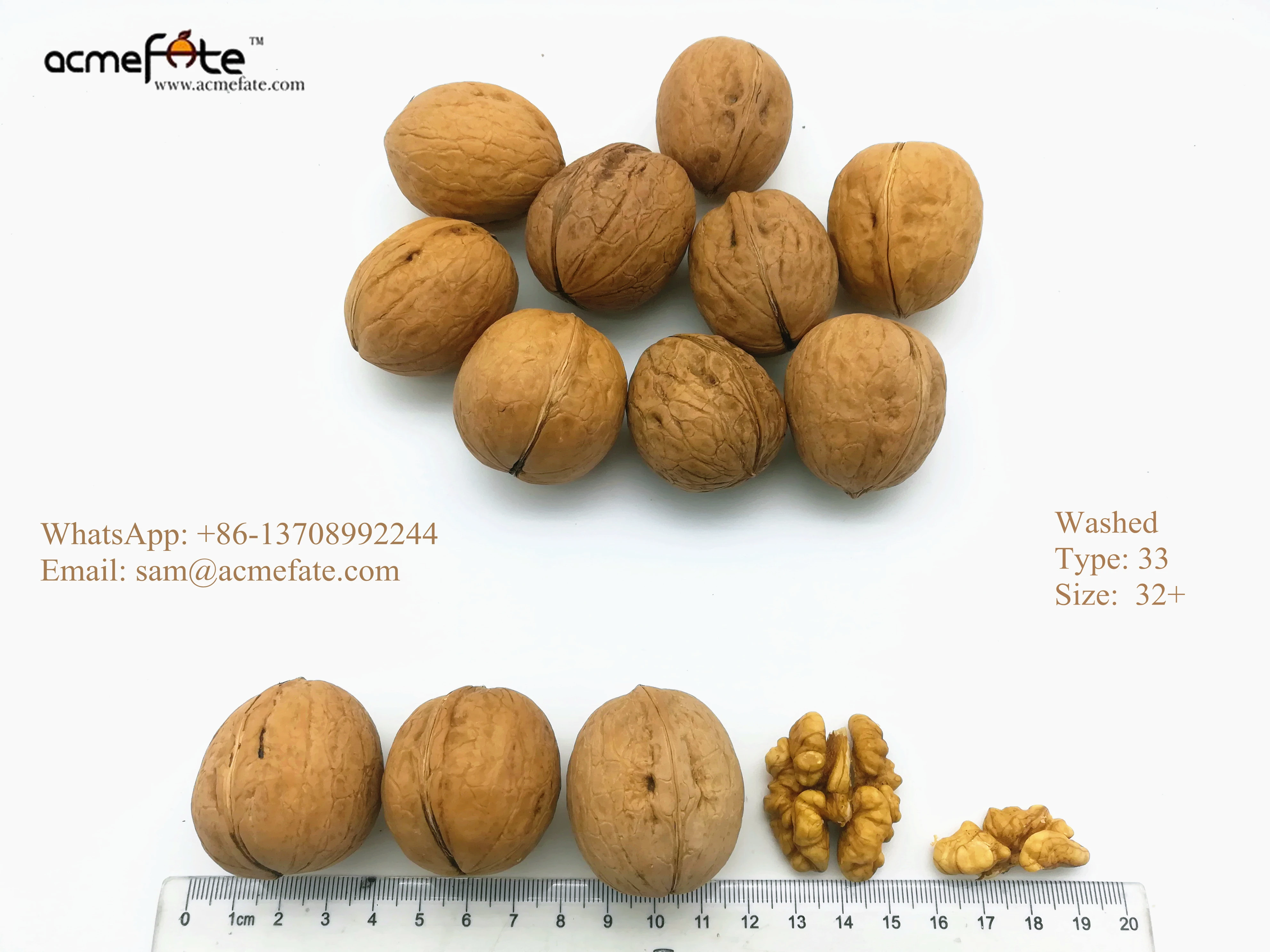 Walnuts in Shell Prices for Wholesale