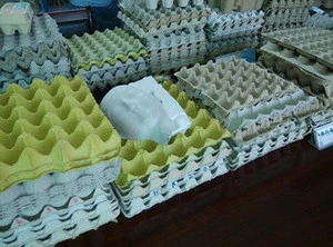 Water-proof,Oil-resisting Impervious Pulp paper egg tray