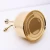 Import Watering Bottle Nordic English-Style Vintage Brass Succulent Plants Small Gold Gardening Spraying Can Mirror Polishing New from China