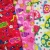 Import Waterproof printed PUL fabric stock lot cloth diaper fabric from China