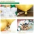 Import Wedding Supplies 118 Pcs Party Birthday Balloons Decorations Balloon Garland Arch Kit With Artificial Palm Leaves from China