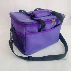 Wholesale Amazon Hot Sale Out Door Bbq Vintage Portable Delivery 420d Insulated 20l Purple Soft Cooler Bag