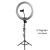 Import Wholesale Beauty 13 inch Tiktok Photographic Selfie Led Ring Light With Tripod Stand For Live Stream Makeup Youtube Video from China