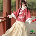Wholesale Chinese Autumn Winter GirlS Thickened Flat Collar Half Arm Flowing Fairy Skirt Ming Style Hanfu Clothing Sets