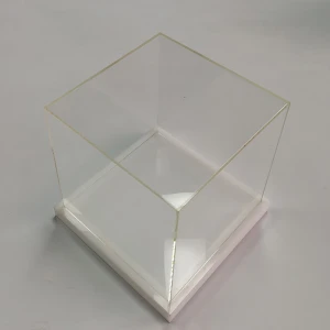 Wholesale Custom Size Square Clear Acrylic Display Box with Wood Base