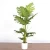 Import wholesale factory Home living room bonsai ornaments simulation turtle plant Artificial Monstera Deliciosa Plant from China