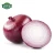 Import Wholesale Fresh Onion Red Onion Export Price from China