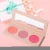 Import Wholesale Makeup Your Own Brand Professional Makeup 3 Colors cheek blush palette from China