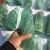 Wholesale Natural Green fluorite Quartz Points Healing Crystal Quartz Wands For Decoration