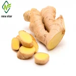 Wholesale organic fresh ginger price