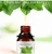 Import Wholesale 100% Pure Lime Oil Applicable for Massage Diffuser Humidifier from China