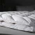 Import Wholesale Super Soft Luxury White Duck Goose Down Comforter Feather Duvet from China