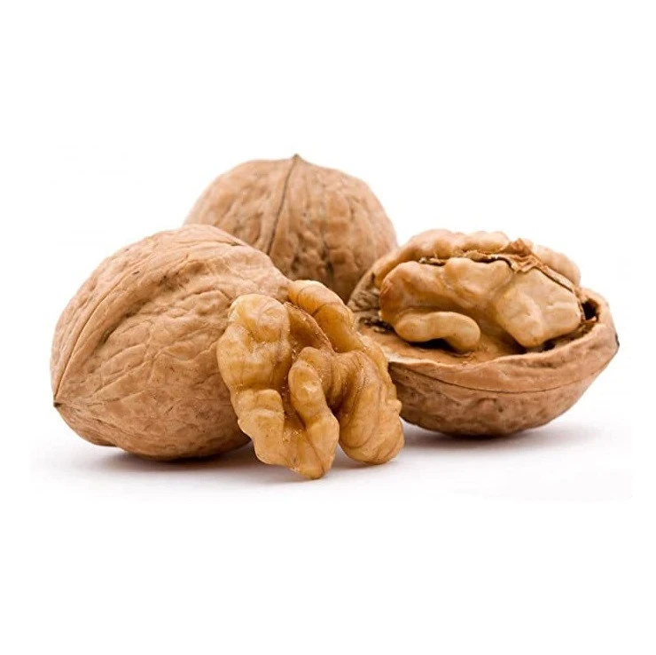 Wholesale Supplier Of  Walnuts  Available Fresh Quantity At Cheap Prices