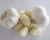 Import Wholesaler Cheap Crispy Fresh White White Garlic In Carton from China