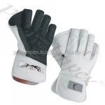 Wicket Keeping Gloves