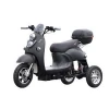 Wuxing 1000W Electronic Vespa 3 Wheel Handicapped Electric Mobility Scooter