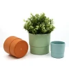 Yicai Wholesale Different Types Cheap Colorful  Plastic Flower Pots For Plants Flower