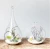 Import Z765 Hanging Glass Flowers Vase Creative Succulent Air Plant Display Terrarium Decorative Clear Glass vase from China