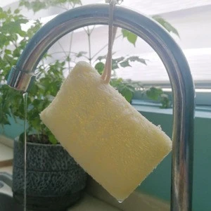 Zero Waste Loofah Biodegradable Compostable Natural Dish Sponge Vegetable Scrubber for Kitchen
