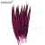 Import ZPDECOR 100-110 cm 50 PCS/Pack  Lady Amherst pheasant tail feathers For Festive Party Supplies from China