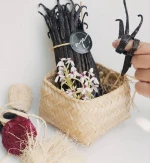 Affordable Indonesian Vanilla Beans