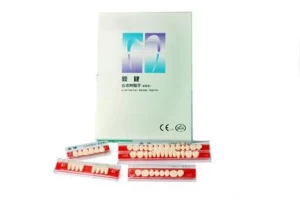 Synthetic Polyment Teeth