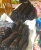 Import Vanilla Beans from Madagascar