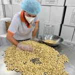 Organic Cashew Nuts