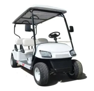 New Design Cheap Electric Golf Carts 4 6 Seater Club Car Battery 48V 72V