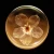 Import 020 New Preserved Fresh Flower Crystal Ball Wood Base LED Night Light Portable Mini Bluetooth Speaker For Valentine Gifts from China