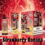 Bang 28000 Ice | Disposable Vape | 28K Puffs | Mesh Coil | Adjustable Airflow & Ice Control